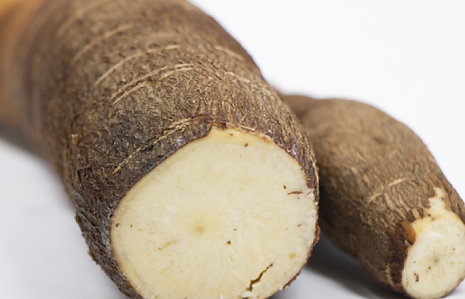 Cassava