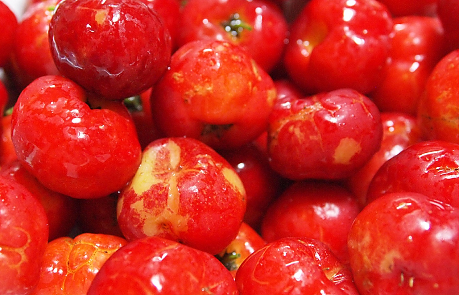 Acerola