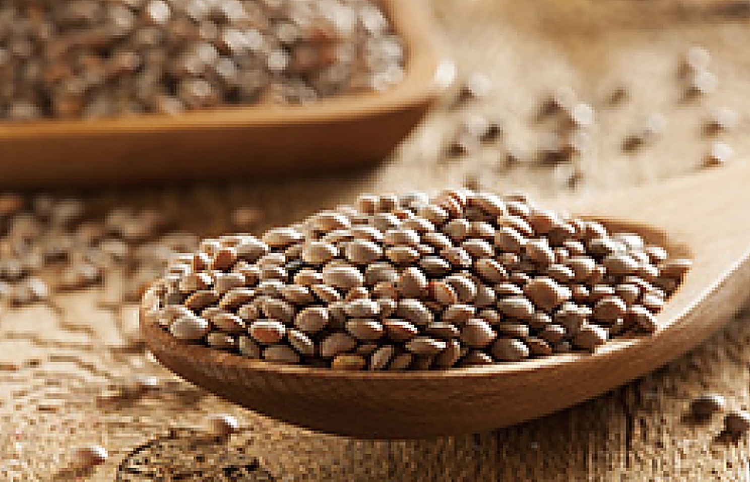 Lentils