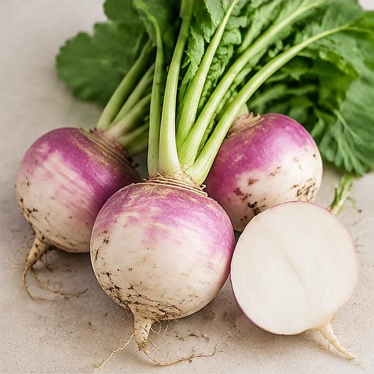 Turnip